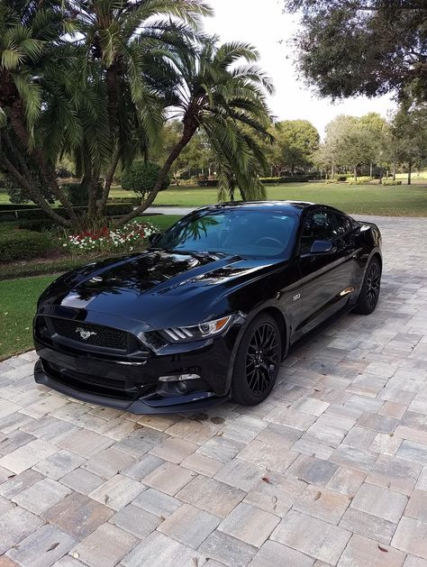 Siyah Mustang, Sports Cars Mustang, Mobil Mustang, Aventador Lamborghini, Black Mustang, Car Tattoo Design, Quotes Car, Ford Mustang Car, Car Tattoos