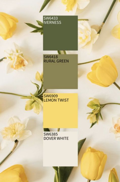 Each season brings different color palettes, and #Spring2021 is in full effect! As much as we enjoy this year’s pastels and trendy jewel tones, we’re curious… Which one has your favorite shade range: spring, summer, autumn or winter? Drop a comment below & may the most wonderful time of year win! . . . . #commercialinteriors #hospitalitydesign #residentialdesign #home #homedecor #homedesign #homegoals #homeinspo #homeinspiration #homeideas #homestyle #instahome #dreamhome #howyouhome Yellow Swatches Colour Palettes, Mellow Colors Colour Palettes, Yellow Flower Color Palette, Pastel Yellow Color Scheme, Yellow And Hunter Green Wedding, Yellow Ocher Color Palette, Yellow And Cream Color Palette, Canary Yellow Color Palette, Color Palette Pale Yellow