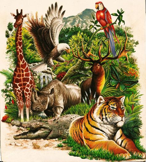 Jungle Animal Art, Boho Art Drawings, Wildlife Paintings, Extinct Animals, Wild Creatures, Arte Animal, Jolie Photo, Nature Images, Jungle Animals