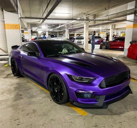 Purple Ford Mustang, Mustang Wraps, Wrapped Mustang, Mustang Purple, Mustang Wrap, Purple Car Wrap, Purple Mustang, Mustang Car, Purple Car