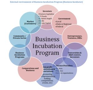 Generic Business Incubation Model – Part 3 | Entrepreneurship, Business Incubation, Business Models & Strategy Blog Startup Workspace, Startup Poster, Startup Infographic, Curriculum Template, Business Incubator, Startup Presentation, Startup Incubator, Startup Design, Startup Office