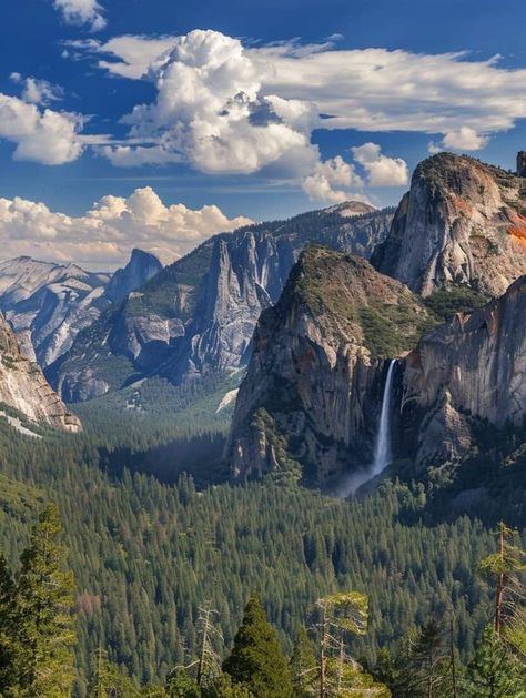 Yosemite National Park,California | Yosemite National Park 🇺🇸 | Facebook Sequoia National Park Aesthetic, Yosemite National Park Aesthetic, Yosemite Pictures, Sequoia National Park Photography, Yosemite Aesthetic, Yosemite Wallpaper, Granola Core, California Yosemite National Park, Yosemite Hikes