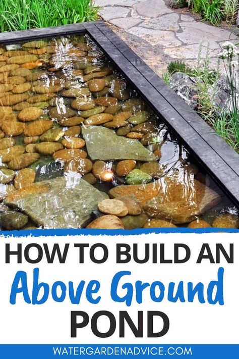 above ground pond Above Ground Pool Fish Pond, Shallow Pond Ideas, Small Above Ground Pond Ideas Diy, Above Ground Fish Pond Ideas, Raised Water Feature, Koi Pond Above Ground, Deck Pond Ideas Patio, Raised Pond Ideas Diy, Small Raised Pond Ideas