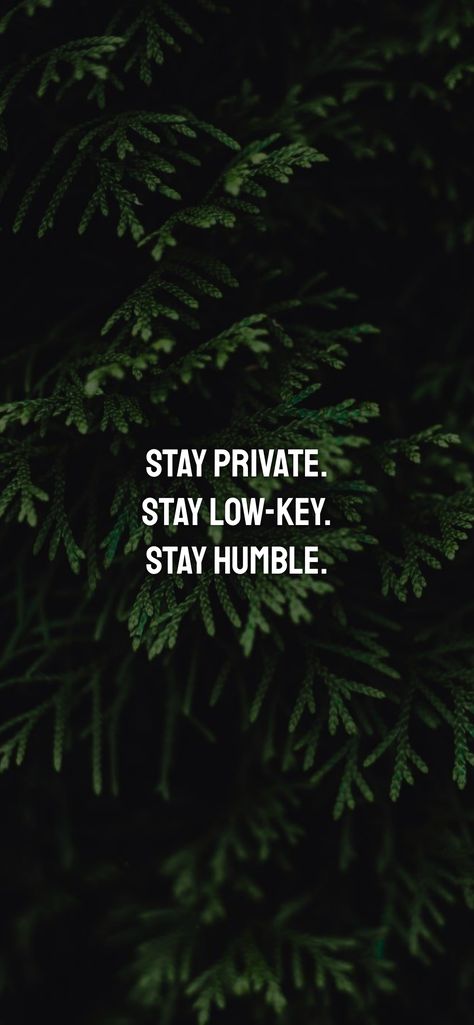 Low Key Quotes, Stay Humble Quotes, Work Issues, Stay Private, Stay Low Key, I Believe In Myself, Humble Quotes, Believe In Myself, Key Quotes