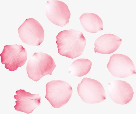 Sakura Petals Png, How To Draw Petals, Petals Drawing, Pink Flower Petals, Sakura Petals, Pink Rose Petals, Sweet Logo, Landscape Pencil Drawings, Flower Drawing Tutorials