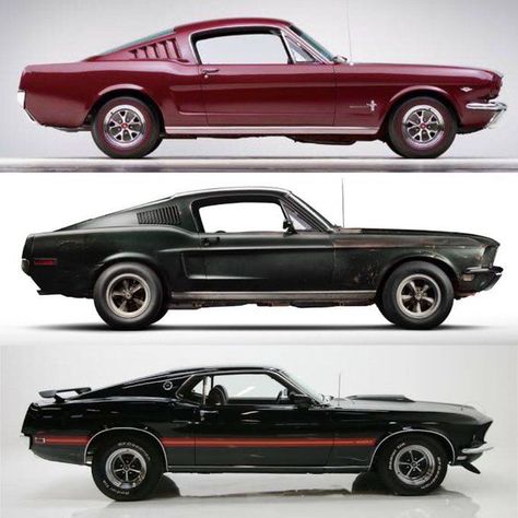 Mustang Fastback 1965, 1967 y 1969. 1969 Mustang Fastback, 68 Mustang Fastback, Ford Mustang 1965, 1967 Mustang, Old Muscle Cars, Ford Mustang Fastback, Vintage Muscle Cars, Classic Mustang, Custom Muscle Cars