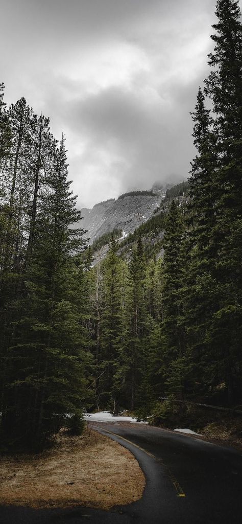 Aesthetic Creative Wallpaper, Road Through Forest, Scenery Wallpaper Nature Landscapes, Nature Aesthetic Mountains, Natural Wallpaper Iphone, Iphone Wallpaper Aesthetic Nature, Wallpaper Iphone Mountain, Wallpaper Mountain Nature, Foggy Mountains Wallpaper