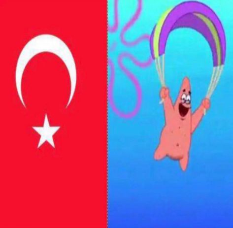 Miejski Survival, Turkey Meme, Spongebob Memes, 웃긴 사진, Very Funny Pictures, Comedy Funny Videos, Quick Jokes, Really Funny Pictures, Memes Xd