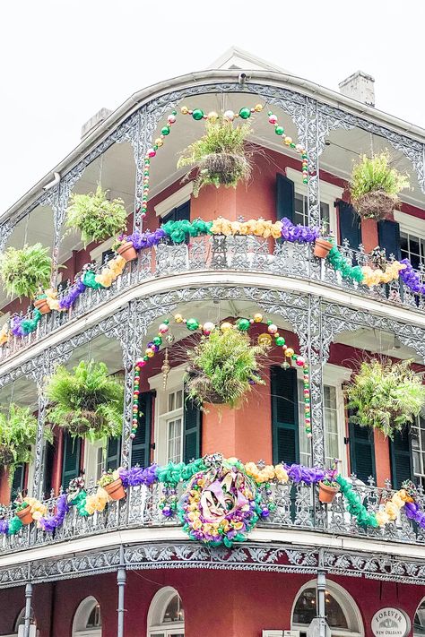 Mardi Gras Astetic, Louisiana Mardi Gras Aesthetic, Mardi Gras Photography, Mardi Gras In New Orleans, Mardi Gras Louisiana, New Orleans Mardi Gras Aesthetic, New Orleans Themed Party, Marti Gra, Mardi Gras Aesthetic