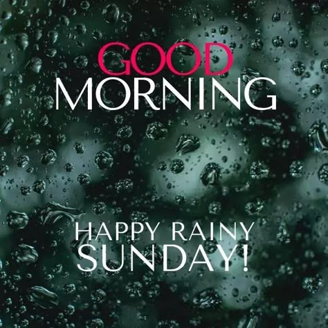 Sunday Rainy Day Quotes, Sunday Rainy Morning Quotes, Happy Rainy Day Good Morning, Rainy Sunday Morning Quotes, Happy Rainy Sunday, Rainy Morning Quotes, Rainy Sunday Morning, Good Morning Rain, Rainy Good Morning