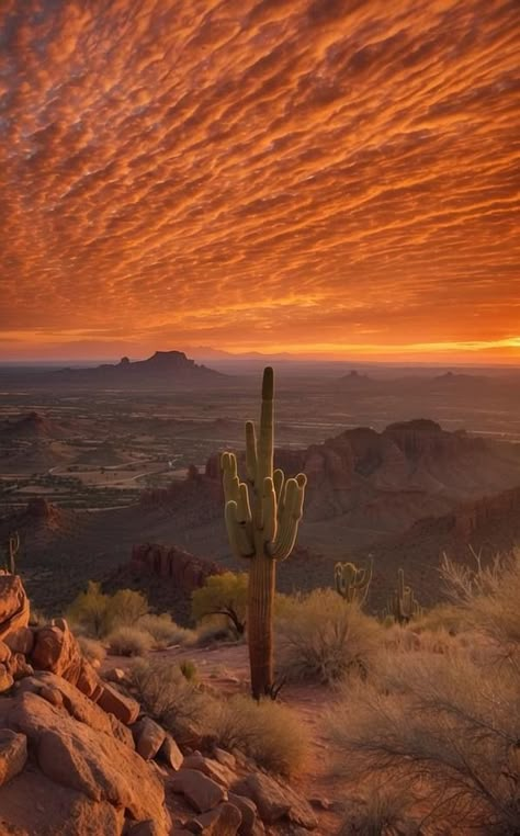 Southwest Aesthetic Wallpaper, Arizona Aesthetic Wallpaper, Desert Gothic, Southwest Photography, Western Sunset, Desert Pictures, Desert Beauty, Desert Aesthetic, Cave Creek Az