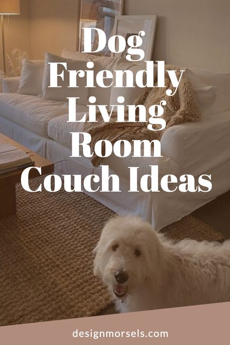 Dog Friendly Living Room Couch Ideas Living Room With Pets, Living Room With Dogs Decorating Ideas, Living Room Furniture Pet Friendly, Dog In Apartment Ideas, Pet Friendly Living Room Ideas, Pet Proof Couch, Dog Friendly Living Room, Dog Friendly Sofa, Living Room Dog Bed