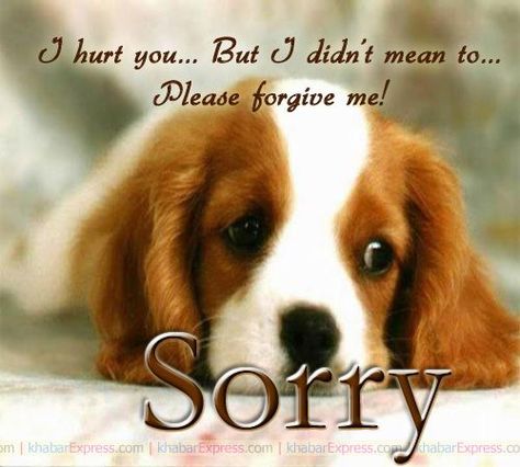 Sorry Love Quotes, Sorry Message For Her, Saying Sorry Quotes, Apology Quotes For Him, Am Sorry Quotes, Dp For Whatsapp Unique, Sorry Message For Friend, Forgive Me Quotes, Sorry Darling