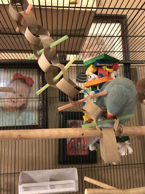 Diy Safe Bird Toys, Homemade Budgie Toys, Bird Enrichment Diy, Diy Conure Toys, Bird Diy Toys, Diy Toys For Parrots, Bird Toy Diy, Diy Parakeet Toys, Diy Bird Toys Parakeets