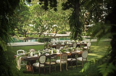 Hotel Meeting Room, Luxurious Garden, Hotel Landscape, Hotel Meeting, Shady Tree, Picnic Style, Wedding Social, Pool Garden, Social Event