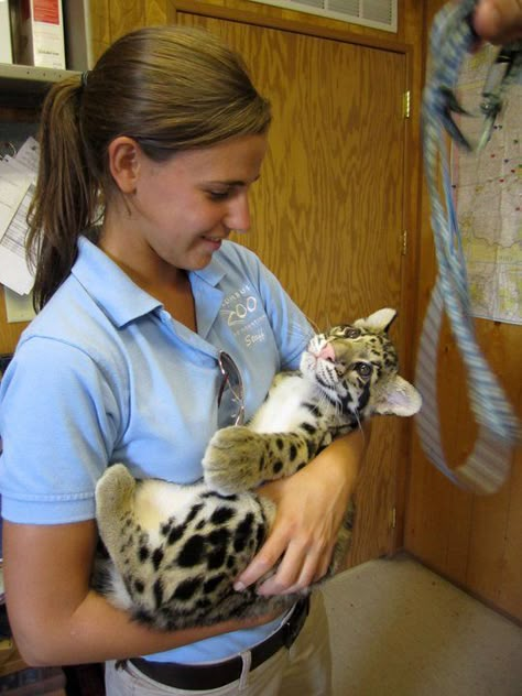 Vet Pictures, Vet Aesthetic, Wildlife Biology, Vet Life, Wildlife Biologist, Wildlife Rehabilitation, Med Vet, Vet Medicine, Clouded Leopard