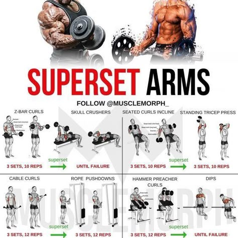 Super Set Workouts, Big Biceps Workout, Bicep And Tricep Workout, Upper Body Workouts, Gym Workout Chart, Arms Workout, Super Sets, Arm Workouts, Biceps And Triceps