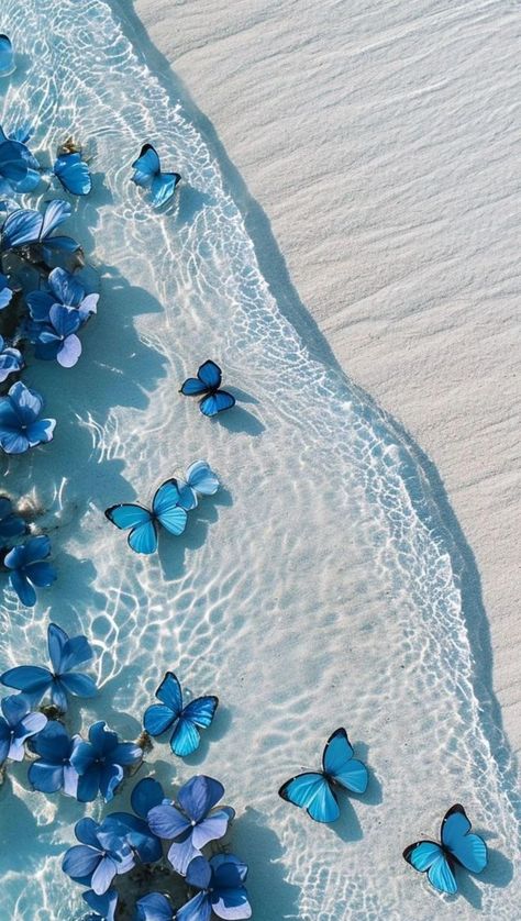 Blue theme wallpaper-butterfly Blue Butterfly Aesthetic Wallpaper Iphone, Light Blue Butterfly Wallpaper, Blue Asthetic Wallper, Blue Iphone 15 Wallpaper, Blue Aura Wallpaper Ipad, Wallpaper Ipad Aesthetic Blue, Cute Bright Wallpapers, Blue Ocean Wallpaper Aesthetic, Image Aesthetic Bleu