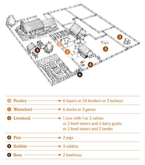 Layout of a half-acre homestead 100 Acre Farm Layout, Pizza Farm Layout, Three Acre Homestead Layout, Family Farm Layout, 8 Acre Farm Layout, Farm Animal Layout, 15 Acre Farm Layout, Small Farm Plans Layout Design, 20 Acre Horse Farm Layout