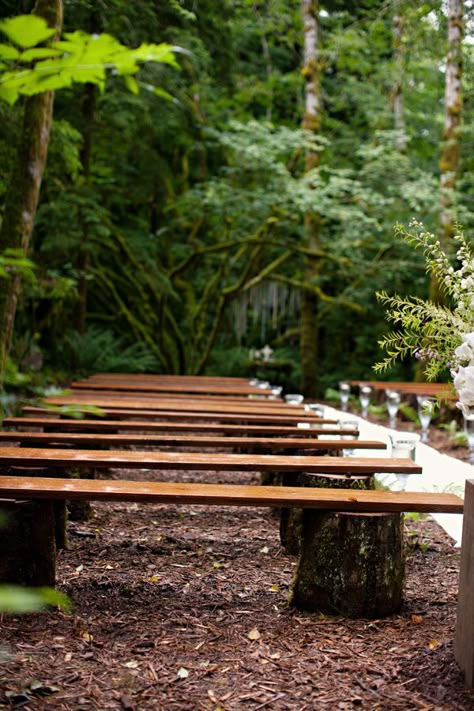 Might be a good alternative to our hay bale idea?! Rustic-Wood-Benches-Wedding-Ceremony Hay Bale Ideas, Rustic Purple Wedding, Wedding Bench, Rustic Wood Bench, Wedding Ceremony Seating, Wedding Autumn, Outdoor Trees, Ceremony Seating, Wedding Ceremony Ideas