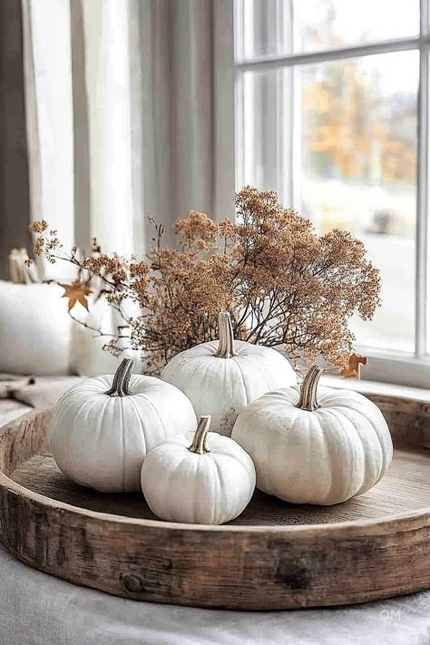 Fall Decor with Pumpkins: Versatile Ideas - Quiet Minimal White Pumpkins Decor, White Fall Aesthetic, Chic Fall Decor, Fall Apartment, White Pumpkin Decor, Fall Apartment Decor, Simple Fall Decor, Outdoor Fall Decor, No Carve Pumpkin Decorating