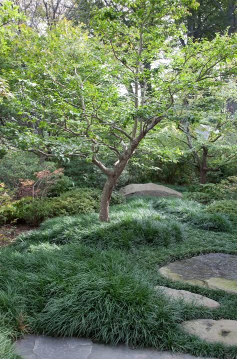 Designer Visit: A Garden Inspired by Japan, in Westchester County, New York Wallpaper Fruit, Japanese Gardens Design Ideas, Japanese Style Garden, Japanese Garden Ideas, Japanese Garden Landscape, Zen Garden Design, Japanese Garden Design, Planting Design, Grasses Garden