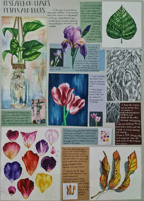 Flower Observational Drawing, Gcse Art Flowers Sketchbook, Flower Artists Gcse, Flora And Fauna Mind Map, Nature Artists Gcse, Natural Forms Artists, Flora And Fauna Title Page, Flora And Fauna Gcse Art, Natural Forms Gcse Title Page