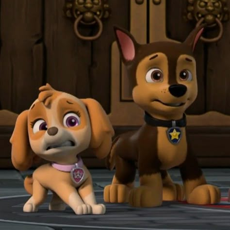 Chase And Skye Paw Patrol Ship, Paw Patrol Chase X Skye, Rocky X Zuma, Skye And Chase, Chase X Skye, Paw Patrol 3, Disney Princess And Princes, Castle Cats, Paw Patrol Skye