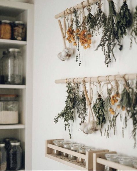 Diy Herb Drying, Homemade Herbal Tea, Herb Drying Rack, Herb Drying, Echinacea Tea, Homemade Tea, Herbal Apothecary, Herbal Tea Blends, Vintage Farmhouse Decor