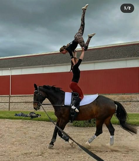 Equestrian Vaulting Moves, Vaulting Horse, Vaulting Equestrian, Horse Vaulting, Horse Tack Rooms, Tack Rooms, Trick Riding, Horse Videos, New Character