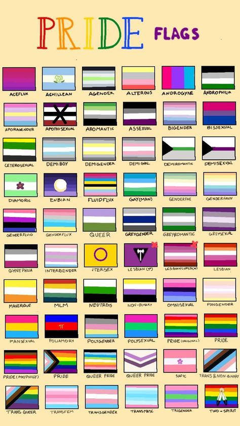 The Pride Flags, Pride Quotes, Lgbtq Quotes, Bi Flag, Gender Flags, Lgbtq Funny, Gay Flag, Lgbtq Flags, Lgbt Flag