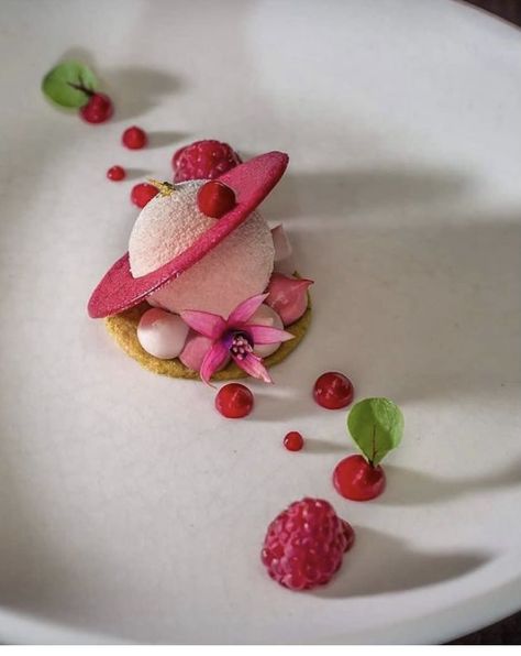 Fancy Dessert Plating Presentation, Restaurant Plated Desserts, Cold Plated Desserts, Fancy Plating Ideas, Gourmet Dessert Plating, Fancy Dessert Plating, Chocolate Plated Desserts Fine Dining, Dessert Plating Ideas Fine Dining, Plated Desserts Fine Dining