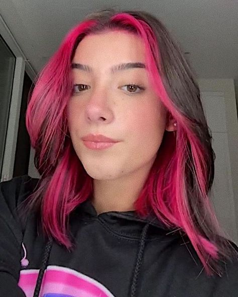 Charli damelio 🍨 | Hair color underneath, Under hair dye, Pink underneath hair Halo Hair Color, Pink Underneath Hair, Halo Hair Colors, Half Colored Hair, Under Hair Dye, Under Hair Color, Underdye Hair, Hair Dyed Underneath, Pink Hair Streaks