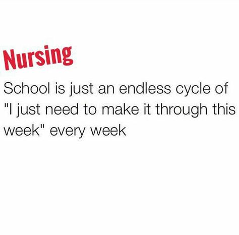 Study For Nursing School, Nursing School Quotes, Nursing School Memes, Nursing Student Humor, Nursing Motivation, Lpn Schools, Nursing Quotes, Nursing School Motivation, Nursing School Humor