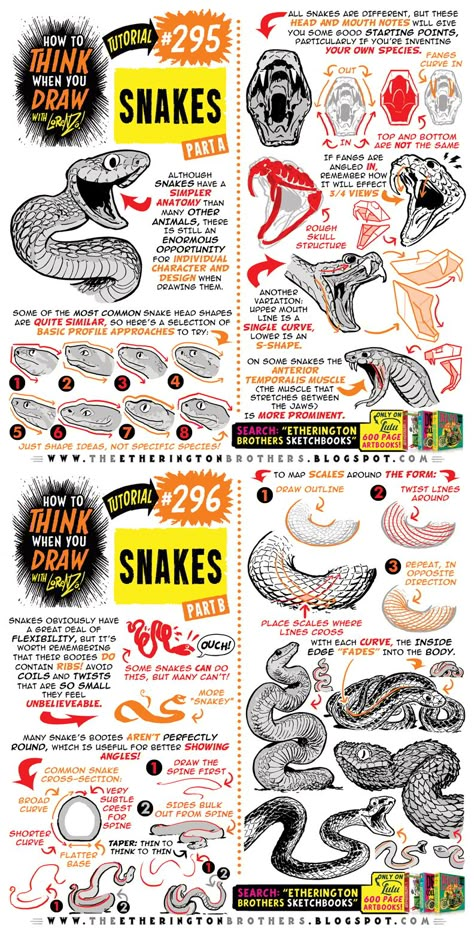 Animal Tips, Etherington Brothers, Drawing Basics, Snake Drawing, Comic Tutorial, Draw Manga, Snake Art, How To Think, Animal Anatomy