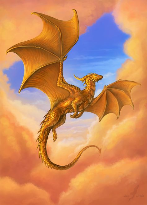 Golden Dragon, A Dragon, The Sky, Deviantart, Art