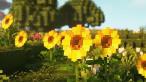 Yellow Flowers Discord Banner, Yellow Gifs Aesthetic, Notion Yellow Aesthetic, Yellow Minecraft Aesthetic, Minecraft Scenery Gif, Minecraft Banner Aesthetic, Yellow Banner Minecraft, Sunflower Banner Discord, Bee Banner Discord