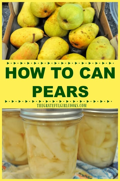 Preserve summer's fruit bounty for long term storage in the pantry by learning how to can pears (fresh and ripe) using a water bath canner! / The Grateful Girl Cooks! Preserved Pears, How To Can Pears, Can Pears, Pear Recipes Easy, Canning Pears, Garden Canning, Preserving Foods, Easy Canning, Pressure Canning Recipes