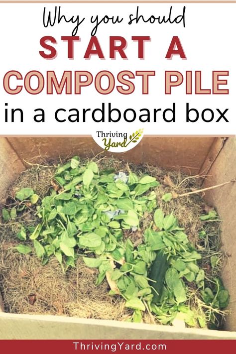 Build Compost Bin, Indoor Composting, Homemade Compost Bin, Outdoor Compost Bin, How To Start Composting, Making A Compost Bin, Start Composting, Composting 101, Composting Methods