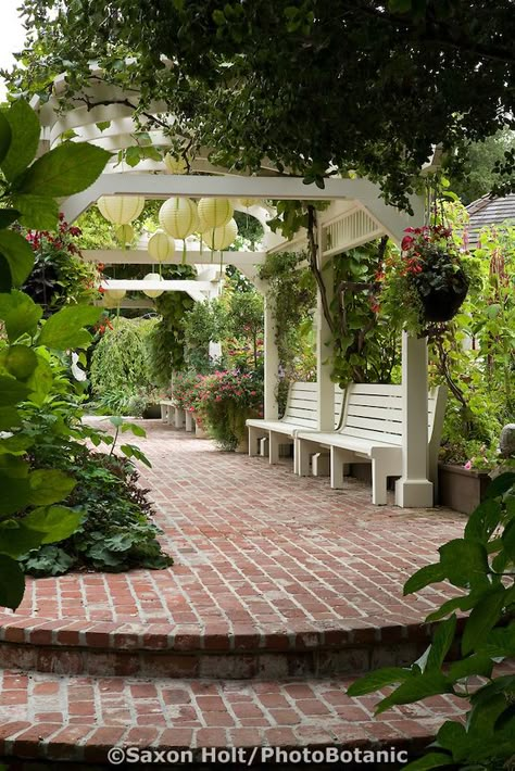 Brick path and steps leading to pergola covering benches in organic California garden English Garden Brick Patio, Brick Patio Patterns Design, Raised Brick Patio, Brick Courtyard, Garden Library, Brick Path, Brick Walkway, Brick Patio, Brick Garden