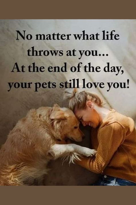 Pet Quotes, Dog Lover Quotes, Dog Quotes Love, Potty Train, Airedale Terrier, Train Your Dog, Animal Quotes, Golden Retrievers, Dog Training Tips