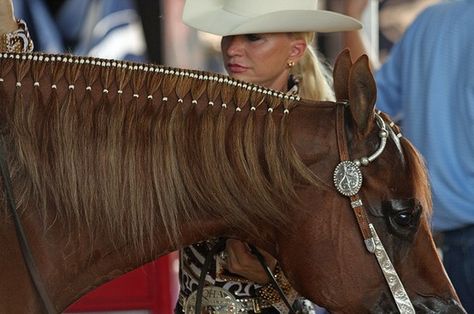 Western braids! #western #horses #braiding Horse Hair Styles, Horse Hairstyles, Mane Braids, Horse Mane Braids, Horse Braids, Horse Hair Braiding, Horse Braiding, Horse Showing, Tail Braids