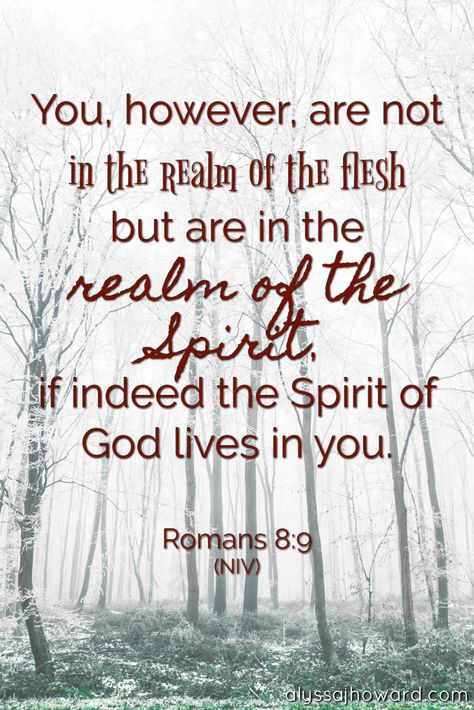 You, however, are not in the realm of the flesh but are in the realm of the Spirit, if indeed the Spirit of God lives in you. - Romans 8:9 (NIV) Gift Of Discernment, My Inspiration Quotes, Spiritual Discernment, The Voice Of God, Voice Of God, Spirit Of God, Jesus Christ Quotes, Romans 8, The Flesh