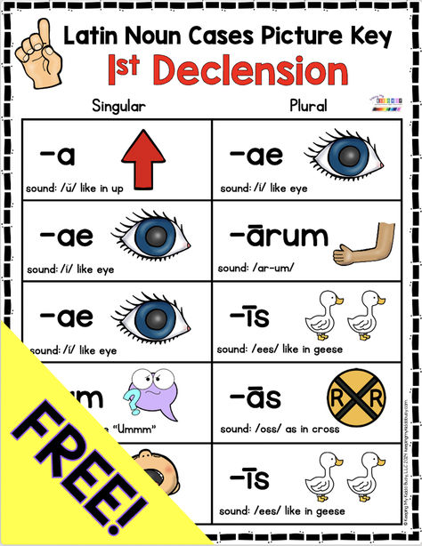 Print these FREE posters and activities to teach your child Latin Noun Declensions - CC Cycle One Latin memory work.  The printables and flashcards make it so easy to memorize - freebie download for homeschool #classicalconversations #ccmemorywork #clasicalconversationshomeschooling #homeschool #homeschooling Classical Conversations Tutor Ideas, Essentials Classical Conversations, Classical Conversations Timeline, Cc Family Presentation Ideas, Classical Conversations Essentials, Cc Foundations, Classical Conversations Foundations, Home Sweet Homeschool, Teaching Latin