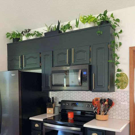 The Top 36 Indoor Garden Ideas - Interior Home and Design Plants Above Kitchen Cabinets, Top Kitchen Cabinets Decor, Cabinet Top Decor, Decorating Above Kitchen Cabinets Ideas, Decor Above Kitchen Cabinets, Above Cabinet Decor, Top Of Kitchen Cabinets, Top Kitchen Cabinets, Decorating Above Kitchen Cabinets