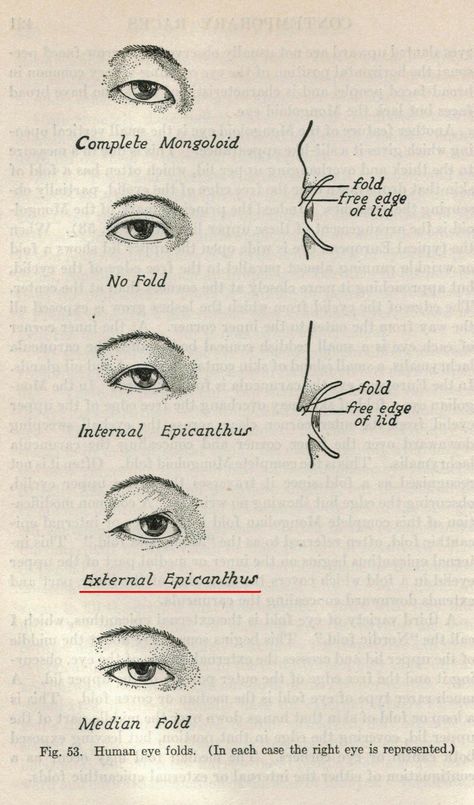 Male Eyelashes, Eyelid Shapes, Under Eye Care, Anatomy Art Reference, Eye Types, Anatomy Help, Draw Head, Eyelashes Drawing, Eye Structure