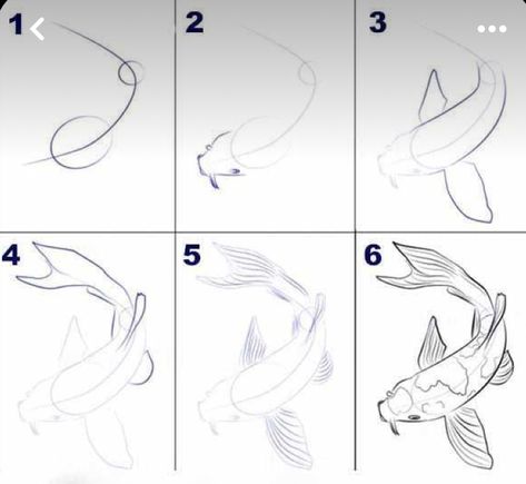 Koi Fish Outline Drawing, Coy Fish Drawing Simple, How To Draw A Koi Fish, How To Draw Koi Fish, Koi Pond Drawing, Koi Fish Doodle, Koi Fish Drawings, Koi Fish Sketch, Draw A Koi Fish