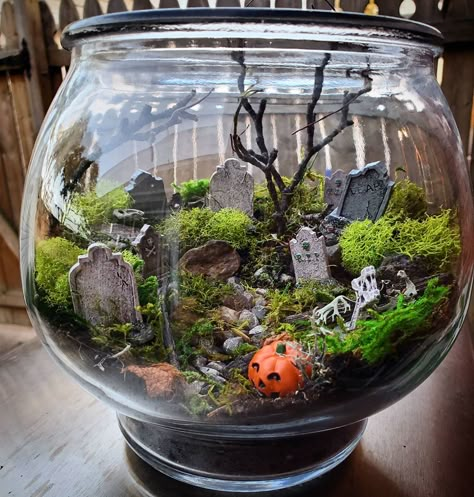 Bobby T on Instagram: “Made my own lil spooky graveyard today!  #graveyard  #terrarium  #artsandcrafts  #spookytown #halloween #cemetery  #horrormovies…” Mini Cemetery Terrarium, Cemetary Terrarium Diy, Cemetarium Diy, Haunted Terrarium, Spooky Terrarium, Graveyard Terrarium, Halloween Terrarium, Lil Spooky, Halloween Fairy Garden