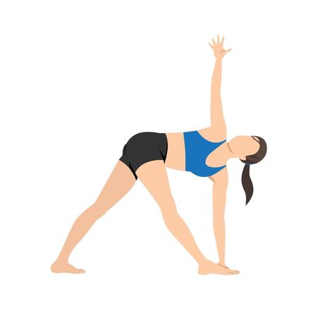 Woman doing revolved triangle pose parivrtta trikonasana exercise. Flat vector illustration isolated on white background Extended Triangle Pose, Yoga Pose Photo, Triangle Yoga Pose, Trikonasana Pose, Revolved Triangle Pose, Triangle Pose Yoga, Yoga Images, Yoga Poses Names, Triangle Pose