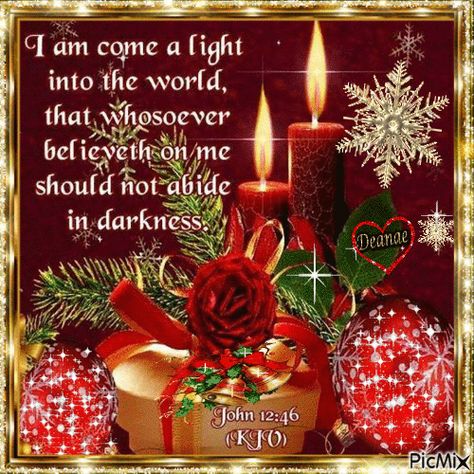 Merry Christmas Blessings, John 12 46, Scripture Blessings, Night America, December Scriptures, John 12, Christmas Scripture, Christmas Bible Verses, King James Bible Verses